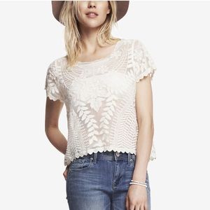 EXPRESS | Short Sleeve Baroque Lace Tee